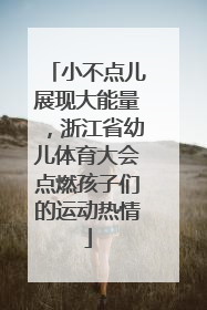 小不点儿展现大能量，浙江省幼儿体育大会点燃孩子们的运动热情
