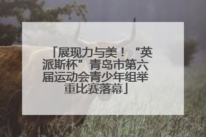 展现力与美！“英派斯杯”青岛市第六届运动会青少年组举重比赛落幕