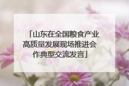 山东在全国粮食产业高质量发展现场推进会作典型交流发言