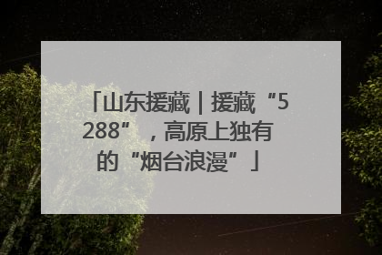 山东援藏｜援藏“5288”，高原上独有的“烟台浪漫”
