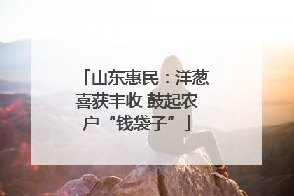 山东惠民：洋葱喜获丰收 鼓起农户“钱袋子”