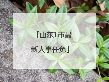 山东1市最新人事任免