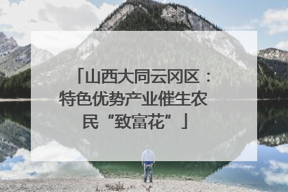山西大同云冈区：特色优势产业催生农民“致富花”