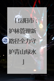 岳阳市：护林管理新路径全力守护青山绿水