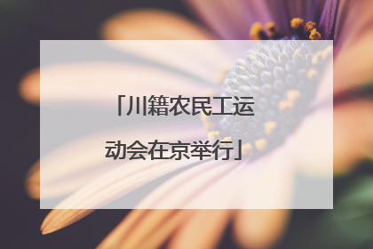 川籍农民工运动会在京举行