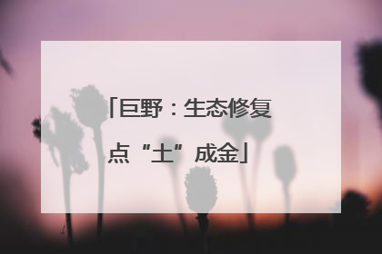 巨野：生态修复点“土”成金