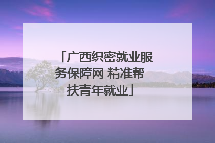 广西织密就业服务保障网 精准帮扶青年就业