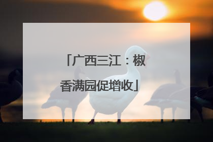 广西三江：椒香满园促增收