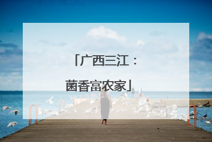 广西三江：菌香富农家
