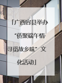 广西容县举办“侨聚端午情·寻觅故乡味”文化活动