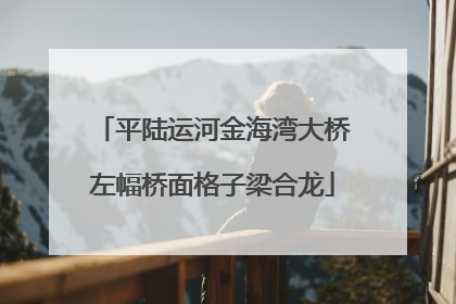 平陆运河金海湾大桥左幅桥面格子梁合龙