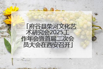 府谷县荣河文化艺术研究会2025工作年会暨首届二次会员大会在西安召开