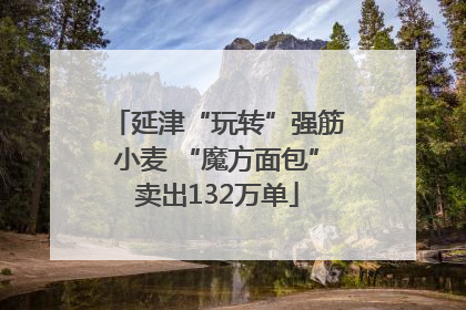 延津“玩转”强筋小麦 “魔方面包”卖出132万单