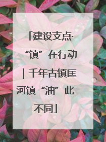 建设支点·“镇”在行动｜千年古镇匡河镇“油”此不同