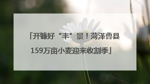 开镰好“丰”景！菏泽曹县159万亩小麦迎来收割季