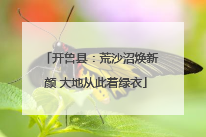 开鲁县：荒沙沼焕新颜 大地从此着绿衣