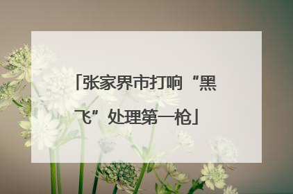 张家界市打响“黑飞”处理第一枪