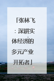 张林飞：深耕实体经济的多元产业开拓者