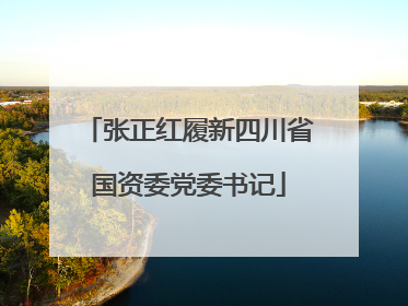 张正红履新四川省国资委党委书记