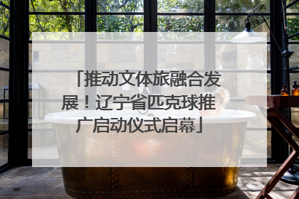 推动文体旅融合发展！辽宁省匹克球推广启动仪式启幕