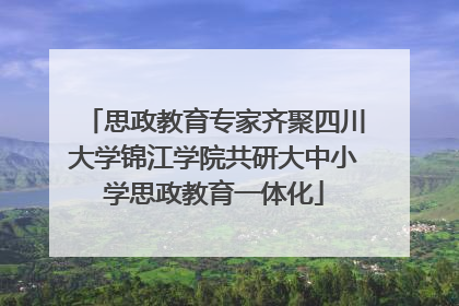 思政教育专家齐聚四川大学锦江学院共研大中小学思政教育一体化
