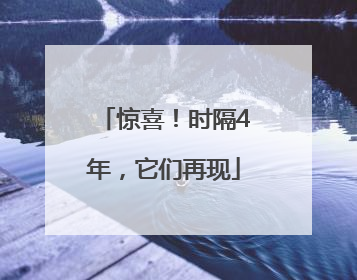 惊喜!时隔4年,它们再现