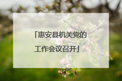 惠安县机关党的工作会议召开