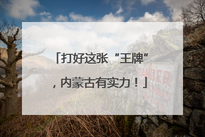 打好这张“王牌”，内蒙古有实力！