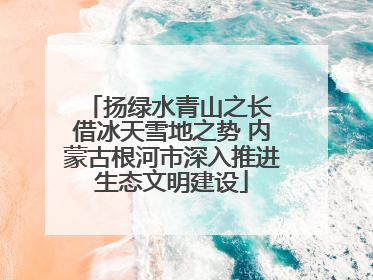 扬绿水青山之长 借冰天雪地之势 内蒙古根河市深入推进生态文明建设