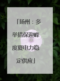 扬州：多举措保迎峰度夏电力稳定供应