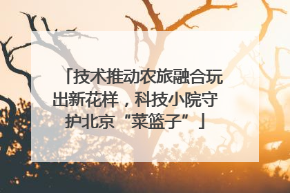 技术推动农旅融合玩出新花样，科技小院守护北京“菜篮子”
