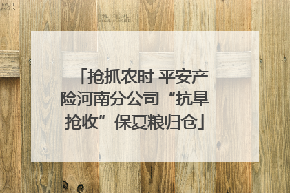 抢抓农时 平安产险河南分公司“抗旱抢收”保夏粮归仓