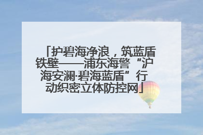 护碧海净浪，筑蓝盾铁壁——浦东海警“沪海安澜·碧海蓝盾”行动织密立体防控网