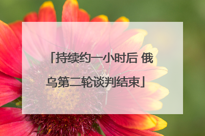 持续约一小时后 俄乌第二轮谈判结束