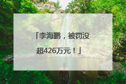 李海鹏，被罚没超426万元！