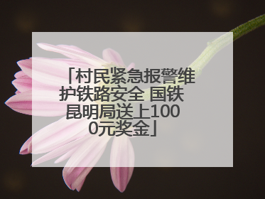 村民紧急报警维护铁路安全 国铁昆明局送上1000元奖金