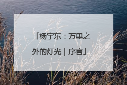 杨宇东：万里之外的灯光｜序言