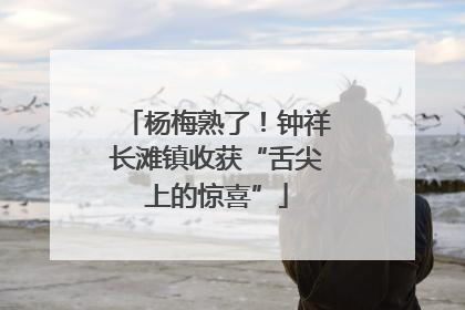 杨梅熟了！钟祥长滩镇收获“舌尖上的惊喜”