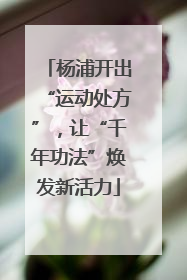 杨浦开出“运动处方”，让“千年功法”焕发新活力