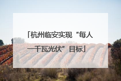 杭州临安实现“每人一千瓦光伏”目标