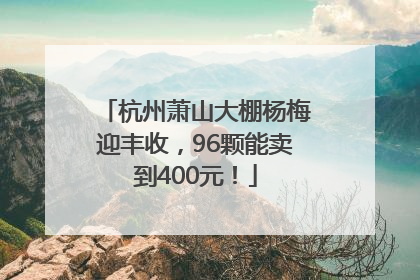 杭州萧山大棚杨梅迎丰收，96颗能卖到400元！