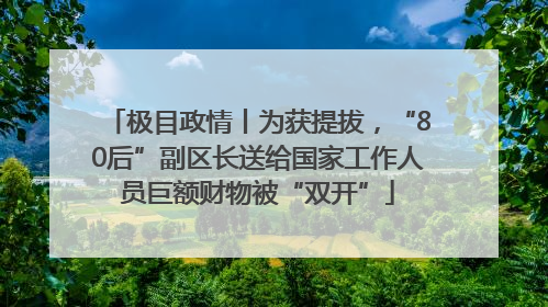 极目政情丨为获提拔，“80后”副区长送给国家工作人员巨额财物被“双开”