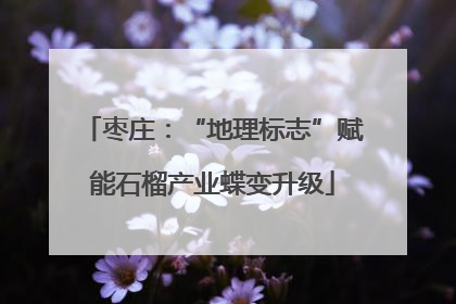 枣庄：“地理标志”赋能石榴产业蝶变升级