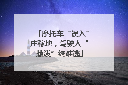 摩托车“误入”庄稼地，驾驶人“撒泼”终难逃