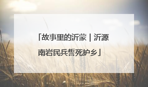 故事里的沂蒙｜沂源南岩民兵誓死护乡
