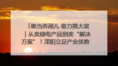 敢当弄潮儿 奋力挑大梁｜从卖绿电产品到卖“解决方案”！溧阳立足产业优势建成五大微电网示范项目
