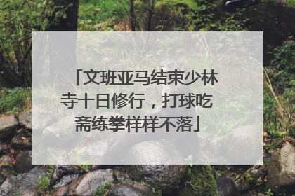 文班亚马结束少林寺十日修行，打球吃斋练拳样样不落