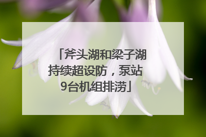 斧头湖和梁子湖持续超设防，泵站9台机组排涝