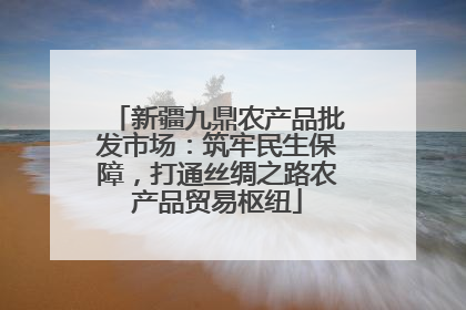 新疆九鼎农产品批发市场：筑牢民生保障，打通丝绸之路农产品贸易枢纽