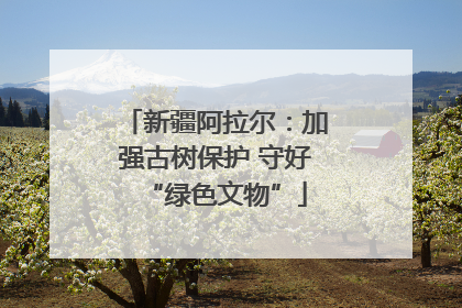 新疆阿拉尔：加强古树保护 守好“绿色文物”